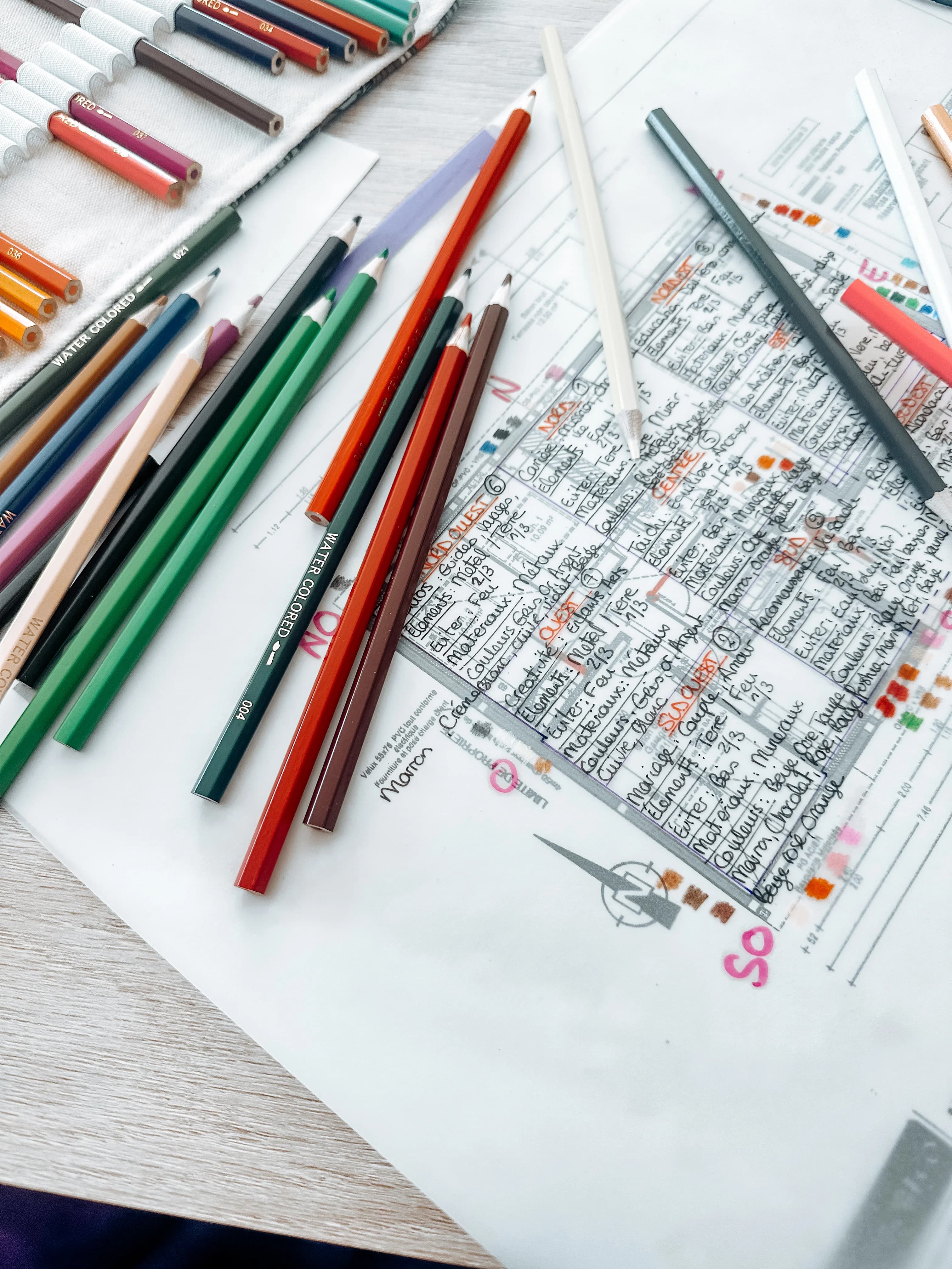 Élodie avec une planche Bagua, expliquant les secteurs énergétiques